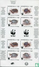 Turtles