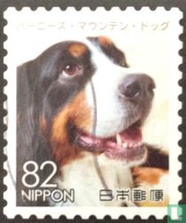 Chiens