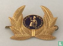 Britannia Airways