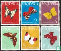 Papillons et papillons de nuit acheter