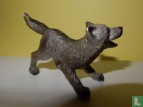 Wolf cub
