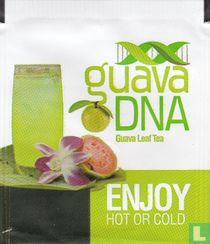 Guava DNA sachets de thé catalogue