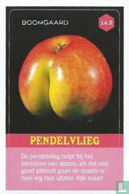 Pendelvlieg 
