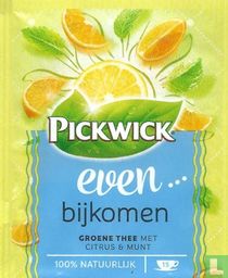 Groene Thee met Citrus & Munt