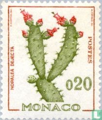 Prickly Pear