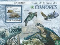 Schildkröten