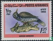 Oiseaux 