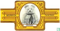 Farnell bears (gold) cigar labels catalogue