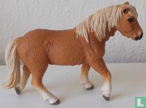 Jument poney d'Islande