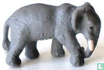 Elephant 