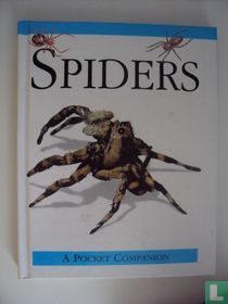 Spiders