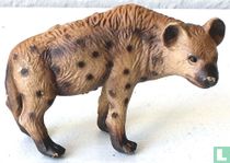 hyène