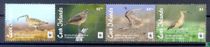 WWF Birds