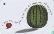 A little tree that grows in the shade of a larger tree will not prosper