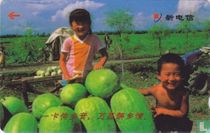 Melons