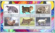 Cats