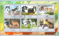 Chiens
