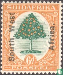 Orange tree