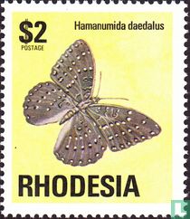 Hamanumida daedalus