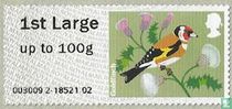 Chardonneret élégant