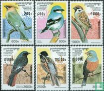 Birds  