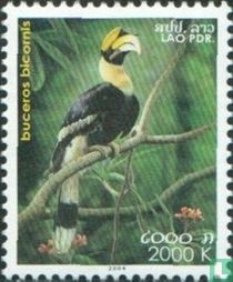 Oiseaux