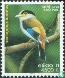 Oiseaux