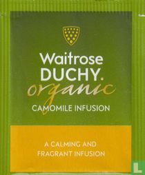 Camomile Infusion 