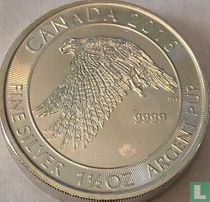 Canada 8 dollars 2016 "Snowy gyrfalcon"