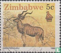 Großer Kudu