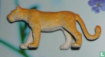 Panther