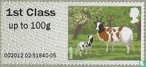 Jacob Sheep