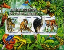 Felines and rainforest