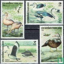 Canards acheter