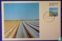 Summer stamps