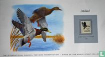 Mallard