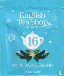 16 White Wonderland 