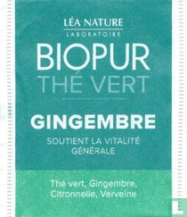 Gingembre
