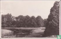 Volkspark