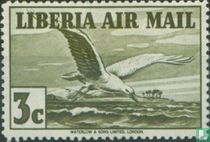 Oiseaux et avions