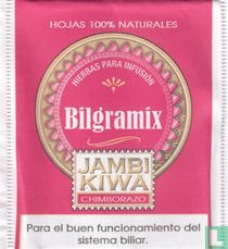 Bilgramix 