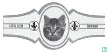 Cats HB (silver) cigar labels catalogue