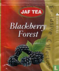 Blackberry Forest
