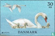 Europa - National birds