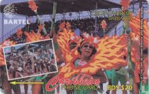 Crop over '95