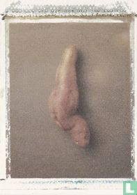 00211 - Per Wessel