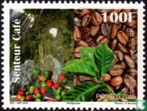 Der Geruch von Kaffee