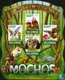 Owls