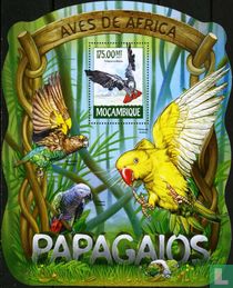 Parrots