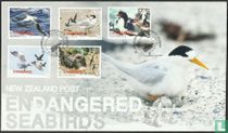 Endangered Seabirds